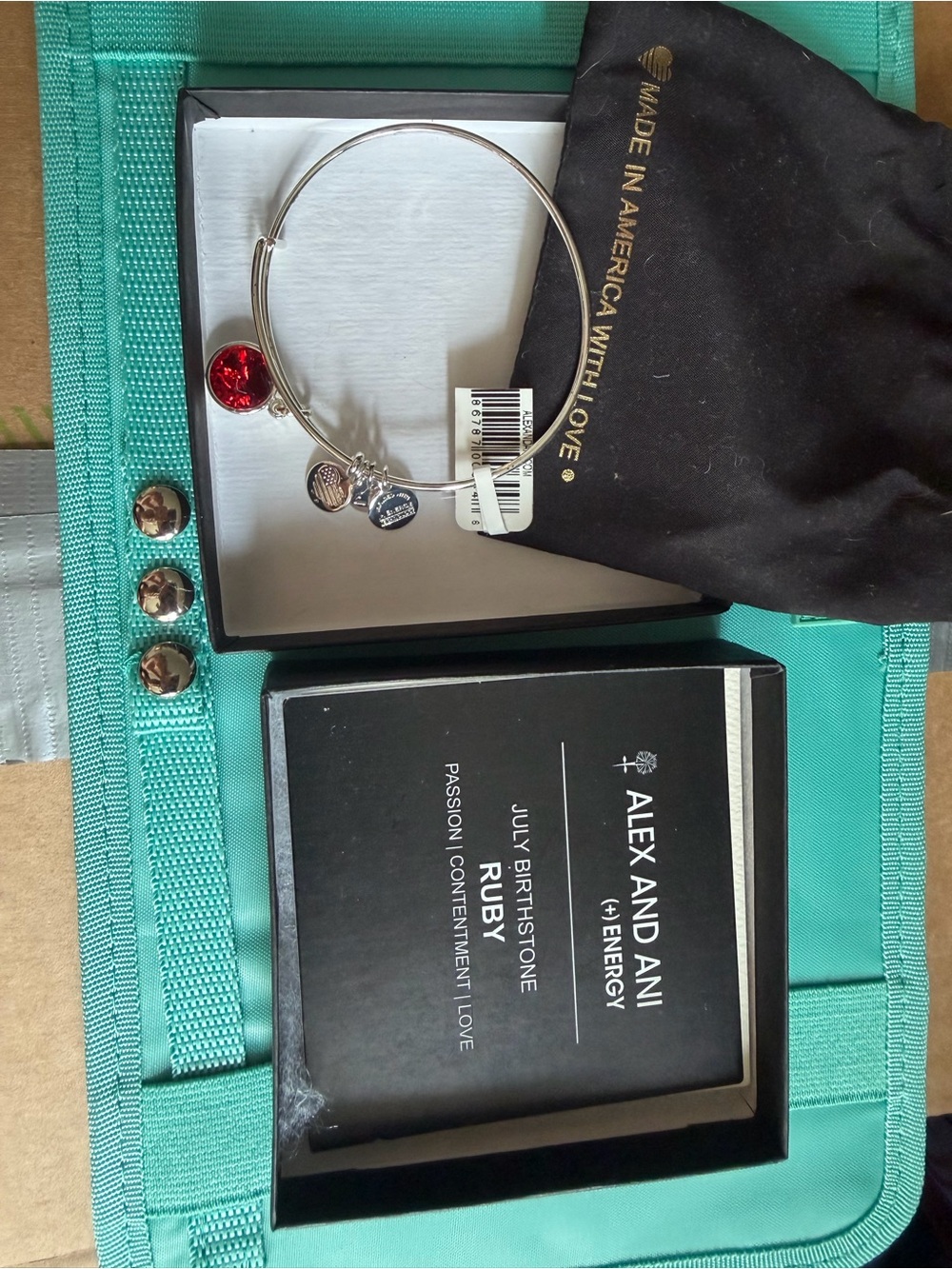 Alex and Ani Silver-Tone Adjustable Bangle with Red Ruby Charm